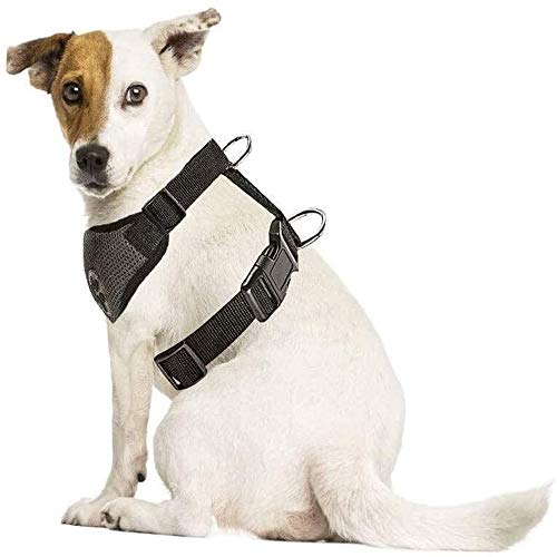 SlowTon Arnês de carro para cães, com cinto de segurança, correia elástica ajustável e forro em tecido respirável