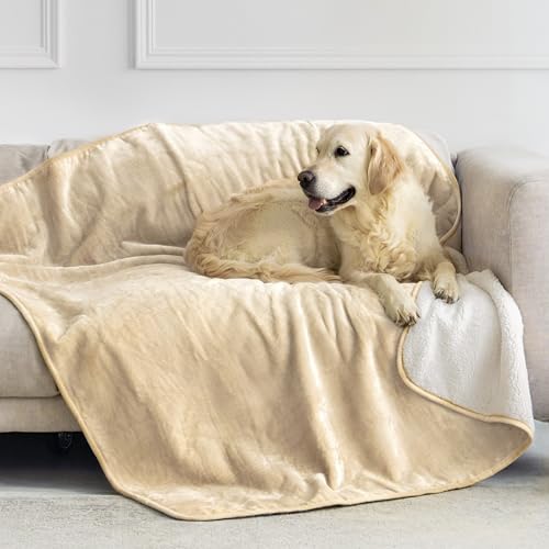 Dreamzie - Manta impermeável cão, 127 x 152 cm, manta para cães reversível e lavável, para sofá e cama, manta de cão pequeno em Sherpa - bege