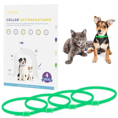 DEWEL Coleiras anti-parasitárias, conjunto de 4 colares contra pulgas e carraças para cães e gatos, coleiras antiderrapantes 24-32 meses de proteção (luminosa, M 34,5 cm)