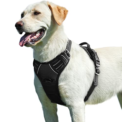 Eagloo Arnês para cães, colete anti-puxões confortável, com alça ajustável no pescoço e peito, apto para cães pequenos, material duradouro e respirável, com fita refletora, adequado para exercício no exterior, laranja