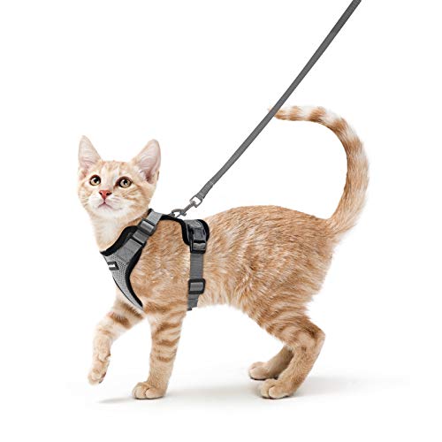rabbitgoo Arnês para gatos anti-fuga com correia de 150 cm, arnês de gato ajustável refletor, colete de tecido de malha macio e respirável, arnês de gato pequeno para caminhar treino, XS, cinzento