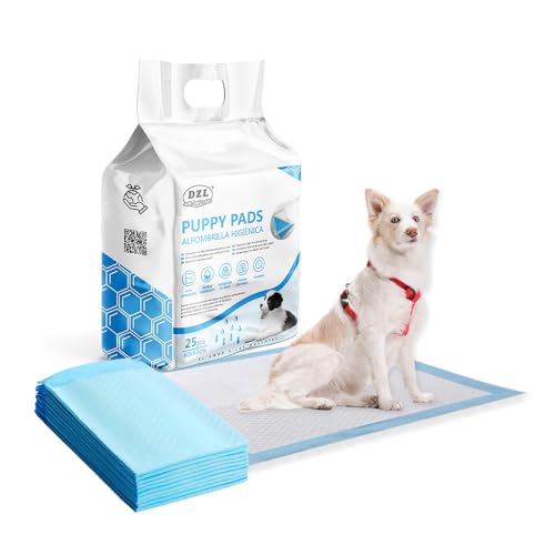 Embaladores descartáveis cães gatos toalhas de treino para animais de estimação absorventes para cães (60 * 60 cm 25 unidades)
