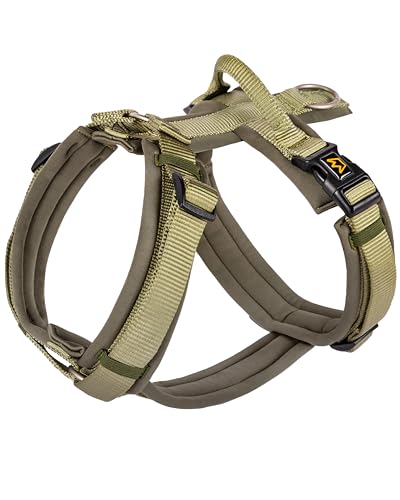 Rudelkönig Arnês para cão bonito - Arneses para cães com alça - Arneses de cão ajustáveis para cães muito grandes