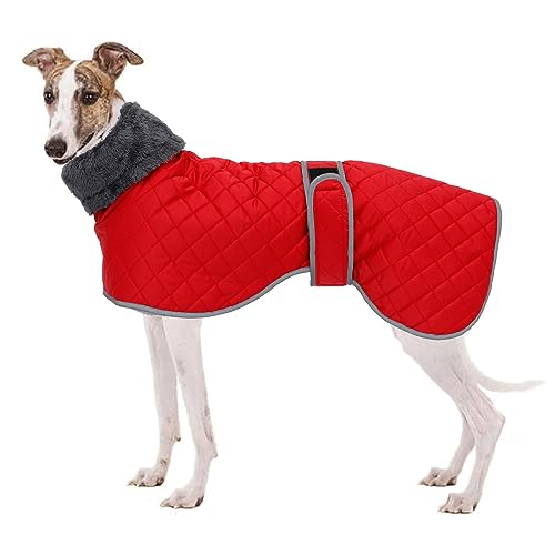 Geyecete Casaco cão, casaco galgo, casacos cão impermeável com faixas ajustáveis, para inverno clima frio, pullover com orifício de arnês, para médio grande galgo/Whippet/Lurcher-vermelho-XXL
