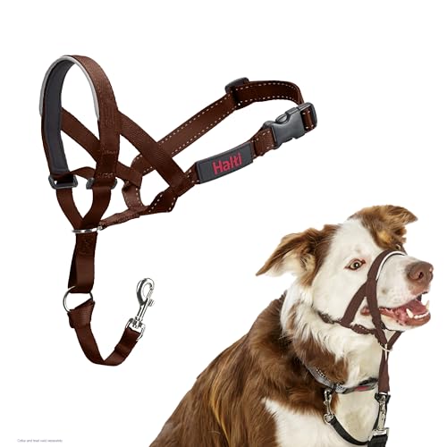 Colar redondo HALTI - para evitar que o seu cão puxe a trela, ajustável com faixa de nariz acolchoada. Coleira anti-puxões para cães médios de treino canino (tamanho 2, nogueira profunda)