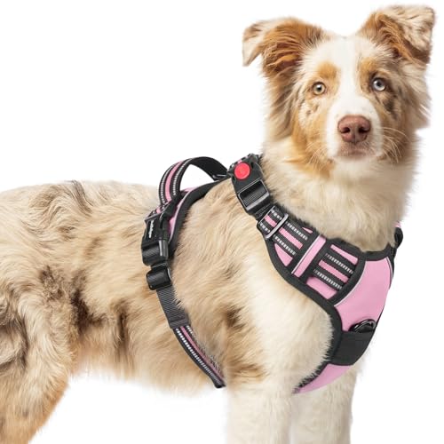 rabbitgoo Arnês médio para cão com 3 fivelas, libertação do pescoço, arnês ajustável com alça e clipe frontal, arnês antipuxões para cães refletor, para treino correr, rosa, M