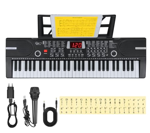 Hricane Teclado eletrónico de 61 teclas para crianças, o instrumento de piano eletrónico portátil para iniciantes com microfone, atril, autocolante (preto)