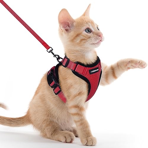 rabbitgoo Arnês para gatos anti-fuga com alça de 150 cm, arnês de gato ajustável refletor, colete de tecido de malha macio e respirável, arnês de gato pequeno para caminhar treino, XXS, vermelho