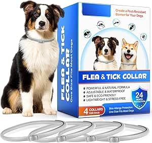 Coleira antiparasitária cães, coleira anti-parasitas cães 4 peças com 24 meses de proteção eficaz, impermeável, ajustável, para cães pequenos, médios e grandes