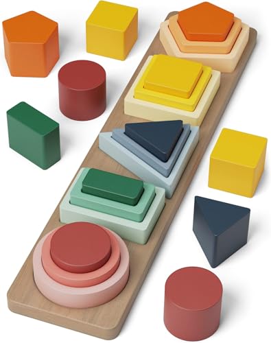 Joozmui Montessori Wisdom Brinquedos quebra-cabeças de madeira 1 2 3 anos, brinquedos de madeira para atividades e desenvolvimento jogo Montessori 1 ano (D)