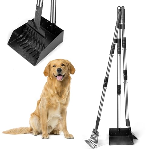 Coletor de excrementos para cães, cabo longo de 96 cm, com bandeja, ancinho e pá, conjunto de aço desmontável para cães grandes, médios e pequenos, para jardim, relvado ou cascalho