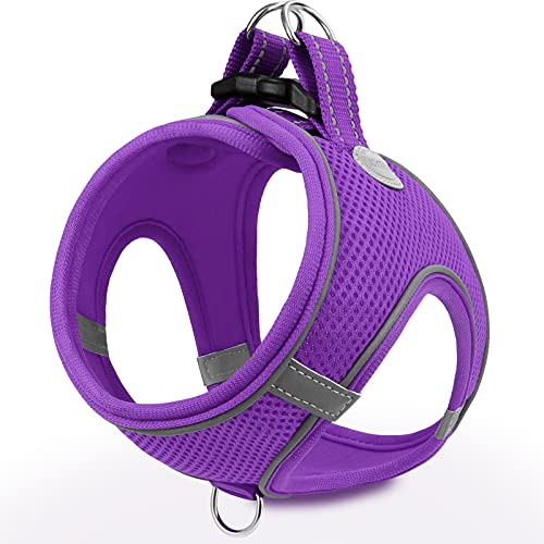 Joytale Arnês cão, refletor, confortável e respirável, arnês para cães colete para gato e cachorros, roxo, M
