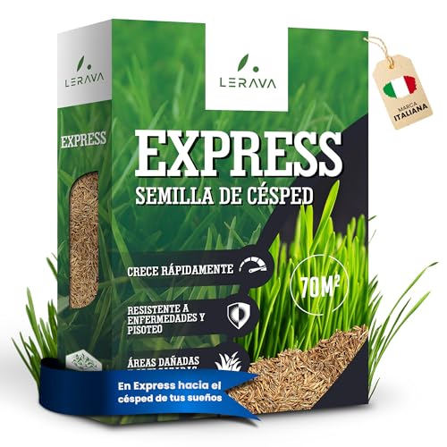 LERAVA® EXPRESS Sementes relvado [RÁPIDO] - 70 m² - sementes de relva rápida e resistente - ideal para jardim e sombra - semente relva natural - alta tolerância ao calor