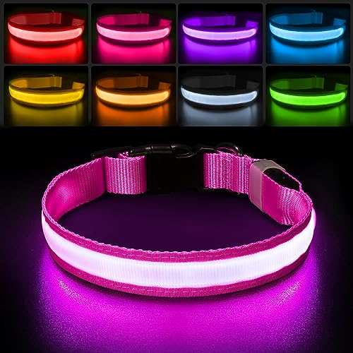 PcEoTllar Coleira luminosa cão, coleira luzes recarregáveis cão, 8 modo coleira LED cão impermeável e 7 cores, iluminação ajustável coleiras LED para cães pequeno médio grande, rosa L