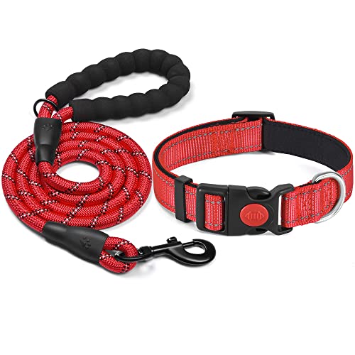 haapaw Coleira de cão refletor acolchoada com neoprene suave coleiras de cão de nylon ajustáveis respiráveis para cães pequenos médios grandes