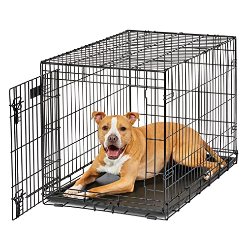 MidWest Homes for Pets Life Stages modelo 1636U Jaula dobrável para cães recém-otimizada, tamanho médio e comprimento de 91,44 cm, com uma só porta, metálica, preto