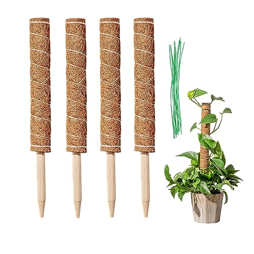 LINSOCLE 4 peças tutores para plantas de trepadora, vara de totem de coco 40 cm, totem de cococo, haste musgo plantas para extensão de suporte para trepadeiras e monstro