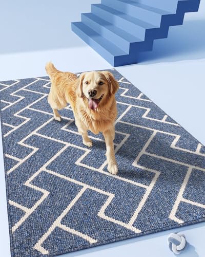 Biscpro Capuz de entrada de casa, 80 x 100 cm felpudo tapete absorvente entrada impermeáveley lavável para apanhar, tapete antiderrapante, exterior, corredor, cozinha, tapete de chuva felpudo - azul