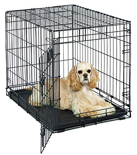 MidWest Homes for Pets Life Stages modelo 1630 Jaula dobrável para cães recém-otimizada, tamanho médio e comprimento 76,2 cm, com uma só porta, metálica, cor preta, para cães médios