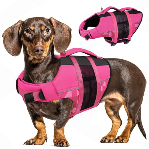 CITÉTOILE Coletes alvavidas para cães, flutuador ajustável para animais de estimação com alça, fato de banho de segurança para água para navegar na piscina da praia, rosa, M