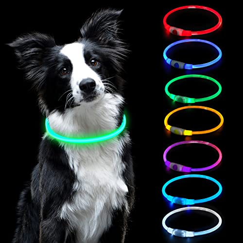 AUAUY Coleira luminosa cão, coleira LED recarregável por USB tamanho ajustável, coleira impermeável de segurança reutilizável para cães pequenos médios e grandes - vistoso