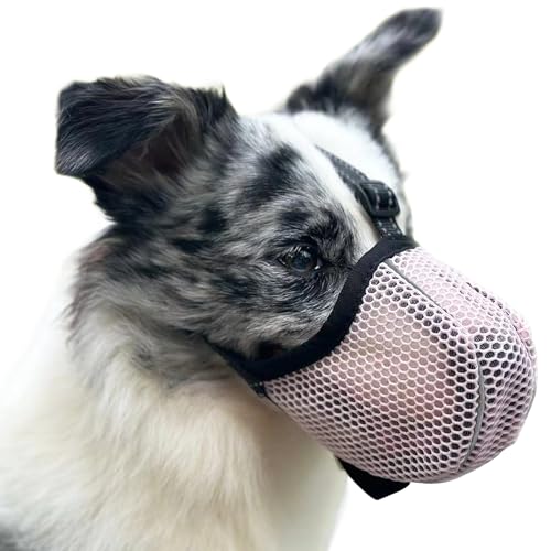 Bozal anti-ingestão para cães pequenos e grandes - ajustável, refletor, respirável - evita mastigar/alimentar / morder (rosa, XL)