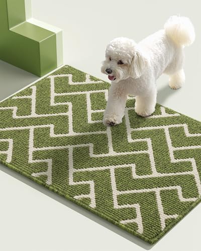 Biscpro Capuz de entrada de casa, 60 x 90 cm felpudo tapete absorvente entrada impermeáveley lavável para apanhar, tapete antiderrapante, exterior, corredor, cozinha, felpudo chuva - verde sábio