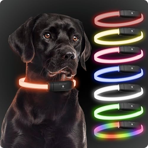 PAJ GPS - PAJ Light - Coleira luminosa de alta intensidade para cães de todos os tamanhos - comprimento ajustável 20 - 70 cm - 100 % impermeável - 7 cores - máxima visibilidade e segurança noturna