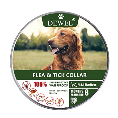 DEWEL Coleira gato contra pulgas para cão, coleira antiderrapante e carraça para animais de estimação pequenos médios e grandes, comprimento ajustável