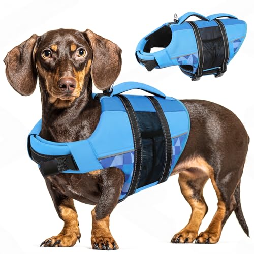 CITÉTOILE Coletes alvavidas para cães, flutuador ajustável para animais de estimação com alça, fato de banho de segurança para água para navegar na piscina da praia, azul, L