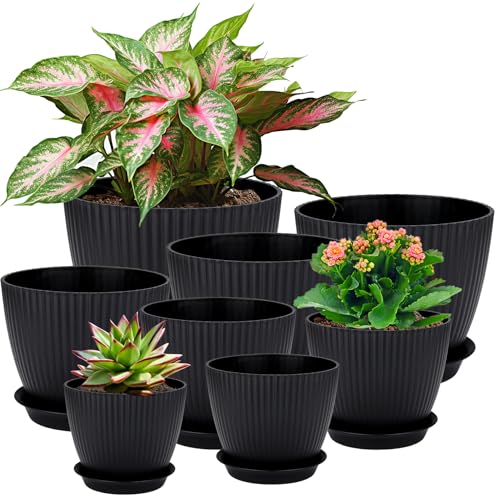 Vasos de plástico, 8 peças vaso com furo, prato redondo, vasos pequenos Cactus, conjunto de vasos para ervas, vaso ideal para escritório, varanda, suculentas - preto