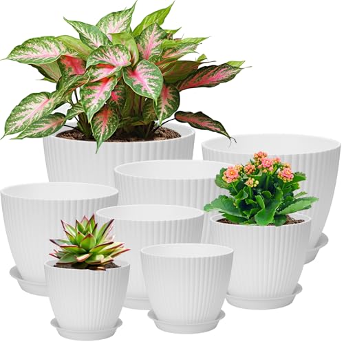 Vasos de plástico, 8 peças vaso com furo, prato redondo, vasos pequenos Cactus, conjunto de vasos para ervas, vaso ideal para escritório, varanda, suculentas - branco