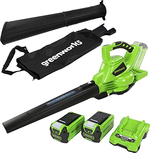 Greenworks Aspirador