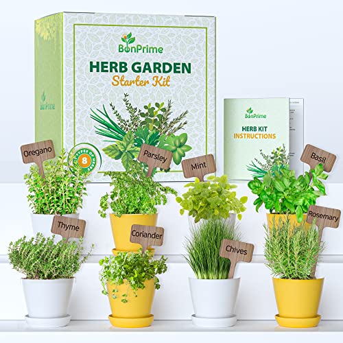 BonPrime Kit de cultivo ervas aromáticas - mini jardim e jardim urbano para casa com 8 sementes, vasos ecológicos e marcadores - conjunto de plantas aromáticas - mini-horta para iniciantes