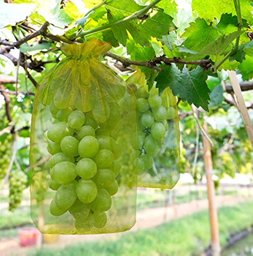 Sacos protetores de uva com cordão 20 x 30 cm 50 peças sacos de organza de malha de proteção para frutas e jardim contra mordidas de avispas pássaros mosca Drosophila e outros insetos