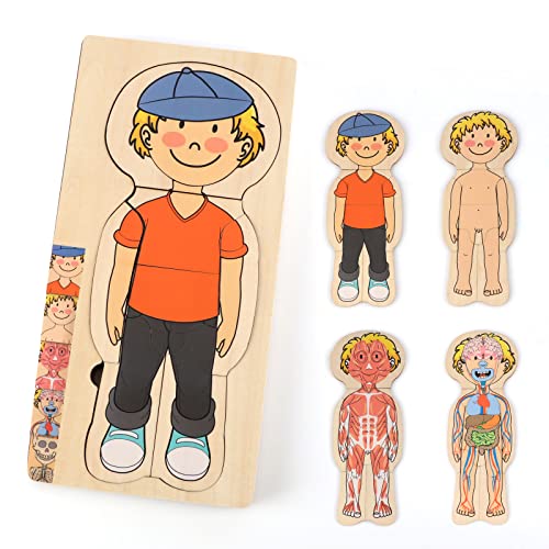 KABENFIS Quebra-cabeças de corpo humano para meninos de 29 peças para meninos e meninas