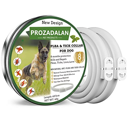 Novo design - coleiras antiparasitárias para cães, coleira eficaz antiparasitas cães contra pulgas e carrapatos, 63,5 cm ajustável e impermeável para animais de estimação pequenos, médios e grandes