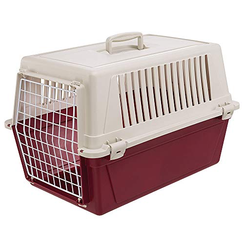 Ferplast Transportador gatos, transporte cão médio pequeno e gatos até 15 kg, porta de ferro elástico, ranhuras de ventilação, 40 x 60 x h 38 cm, transporte de animais de estimação rígido Atlas 30 EL