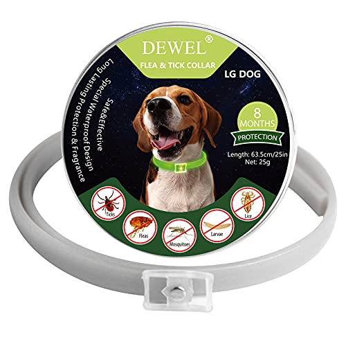 DEWEL Colar antiparasitário luminoso à noite sem eletricidade, coleira contra pulgas, carrapatos, piolhos e mosquitos, tamanho 63,5 cm para cães grandes, médios e pequenos