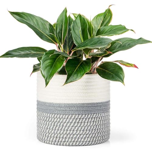 Cesta para plantas, vasos interior de fibra de algodão, decoração de casa de corda de algodão, diâmetro de 20 cm, para decoração de vasos de juta, cesta dobrável de armazenamento para casa
