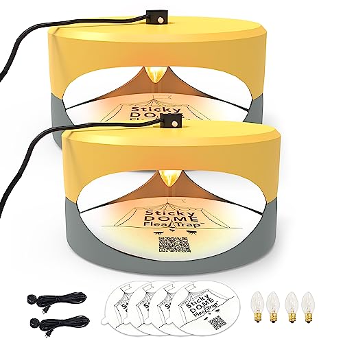 ASPECTEK Armadilha para pulgas, mata inchos, livre de químicos, uso interno, embalagem de 2 discos autocolantes, cor branca Yellow Gray (HR23)