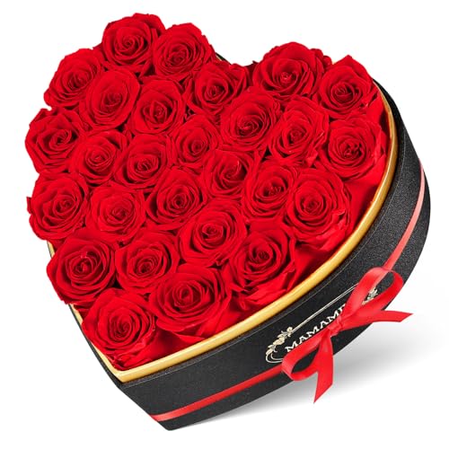 27 Rosa Eterna natural preservada em caixa de coração, flores eternas, rosas naturais presentes originais para mulher, mãe, namorada, dia da mãe, dia dos namorados, aniversário, Natal (vermelho)