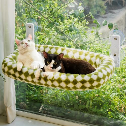 EDAGNY Elegante rede para gatos no interior, dobrável, com janela para gatos, de felpa, com cobertura grossa removível, estrutura de aço resistente com 4 ventosas que suporta até 18 kg (verde, M com
