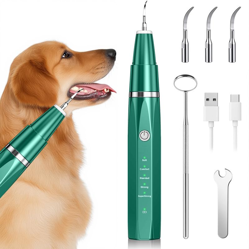 Kit de limpeza de dentes para cães, escova de dentes elétrica ultra-sónica para animais de estimação, escova de dentes para cuidados dentários para cães e gatos, verde