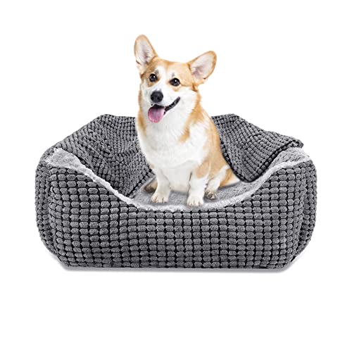 JOEJOY Cama para cão com cobertor, cama de cães médios lavável, cama para cães pequenos, antiderrapantes, com enchimento de fibras super macias, cama para cães pequenos, S (64 x 53 x 20 cm)