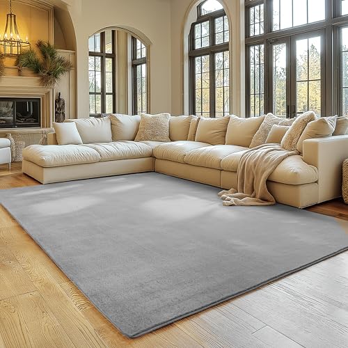 SIMPEX Tapete prateado 200 x 280 cm tapete lavável de pelo curto, antiderrapante e macio, design monocromático moderno para sala de estar, quarto, cozinha e quarto infantil