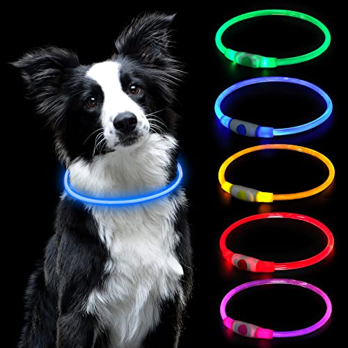 AUAUY Coleira luminosa cão, coleira LED cão recarregável por USB tamanho ajustável, coleira luminosa cão impermeável coleira de segurança reutilizável para cães pequenos médios e grandes (azul)