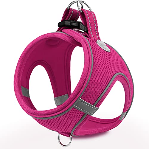 Joytale Arnês cão, refletor, confortável e respirável, arnês para cães colete para gato e cachorros, rosa quente, XXS