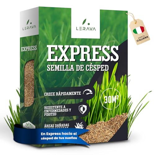 LERAVA® EXPRESS Sementes relvado [RÁPIDO] - 30 m² - sementes de relva rápida e resistente - ideal para jardim e sombra - semente relva natural - alta tolerância ao calor