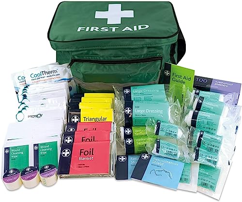 LEWIS-PLAST Kit de primeiros socorros grande com 224 peças - design compacto e conveniente, ideal para casa, escritório e desportos - kit médico completo